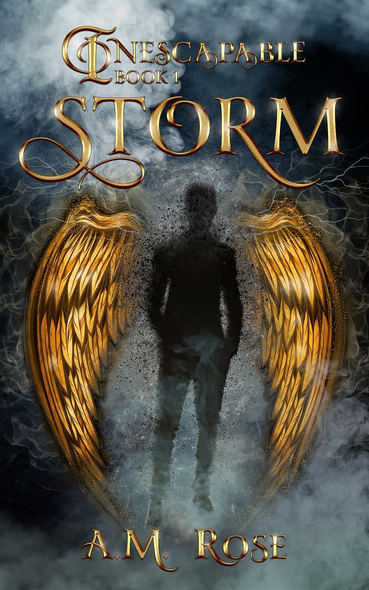 Storm book cover