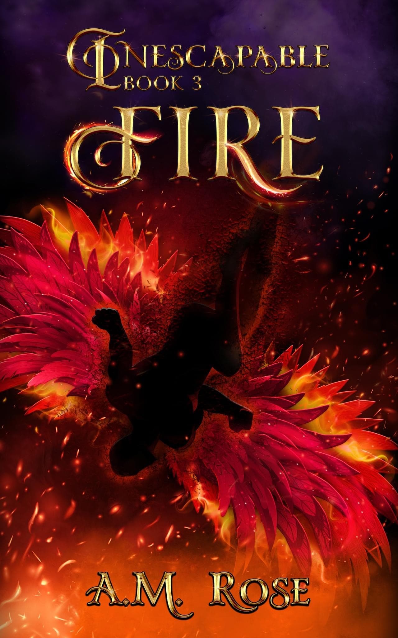 Fire book cover