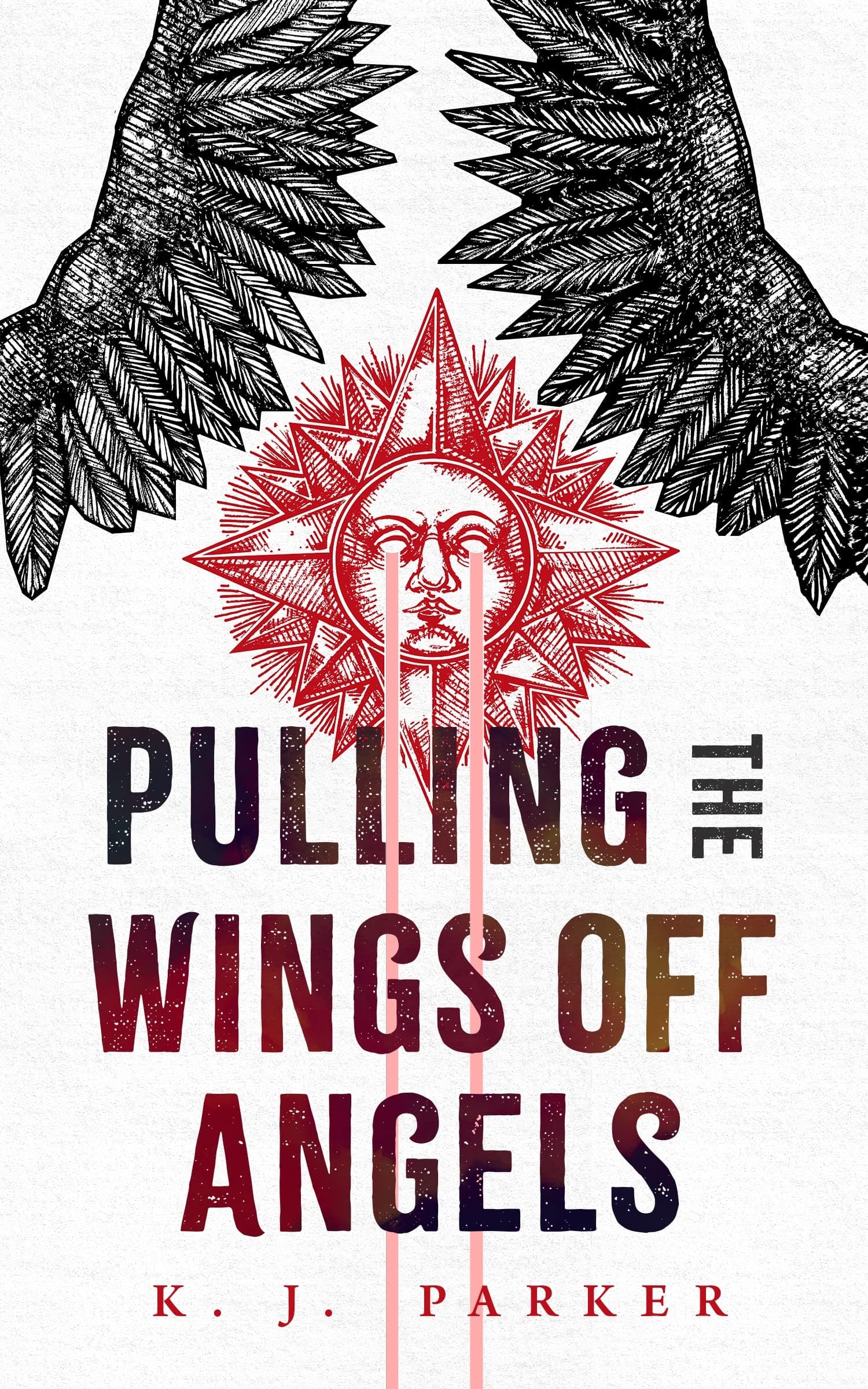 Pulling the Wings Off Angels book cover