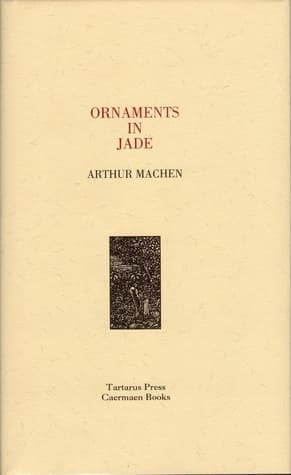 Ornaments in Jade book cover