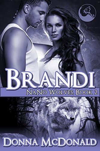 Brandi book cover