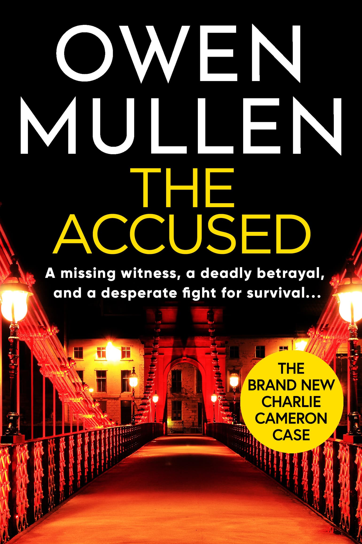 The Accused book cover