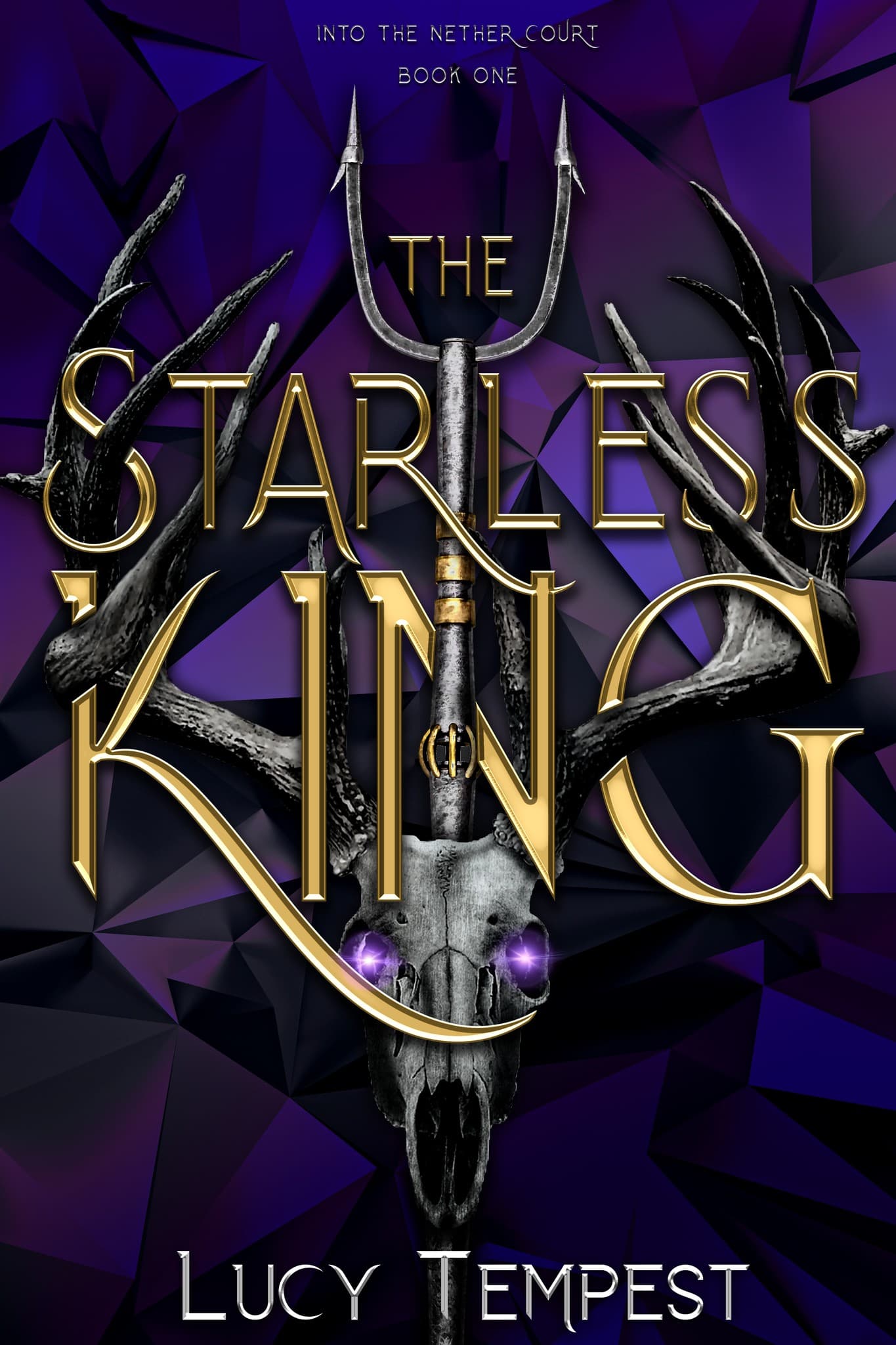 The Starless King book cover