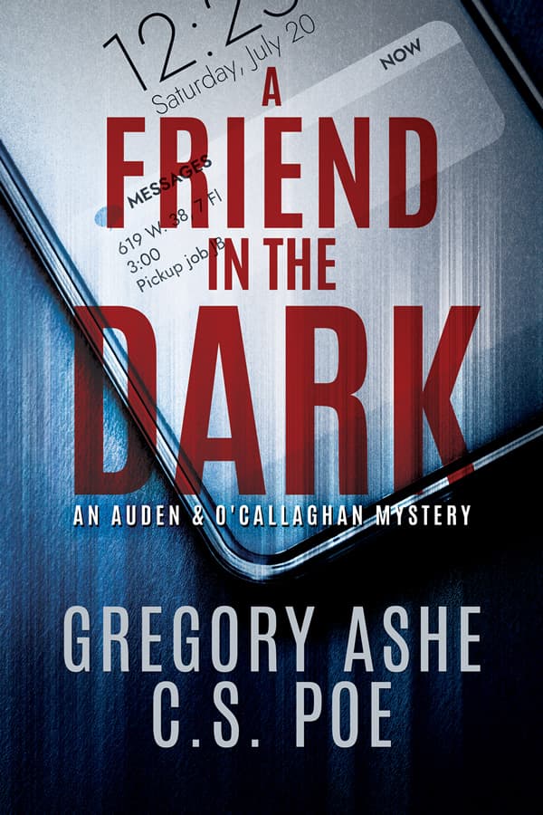A Friend in the Dark book cover