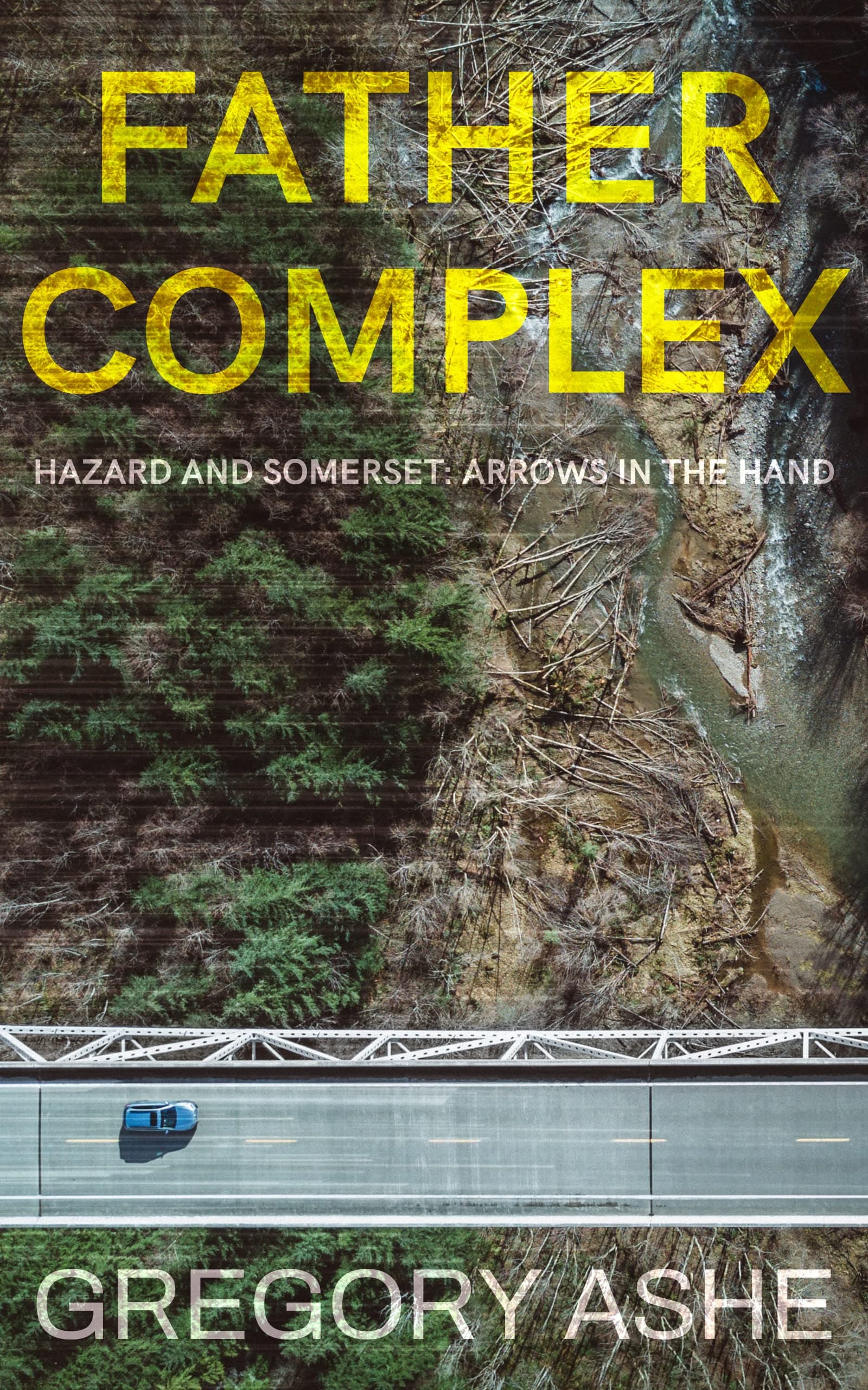 Father Complex book cover