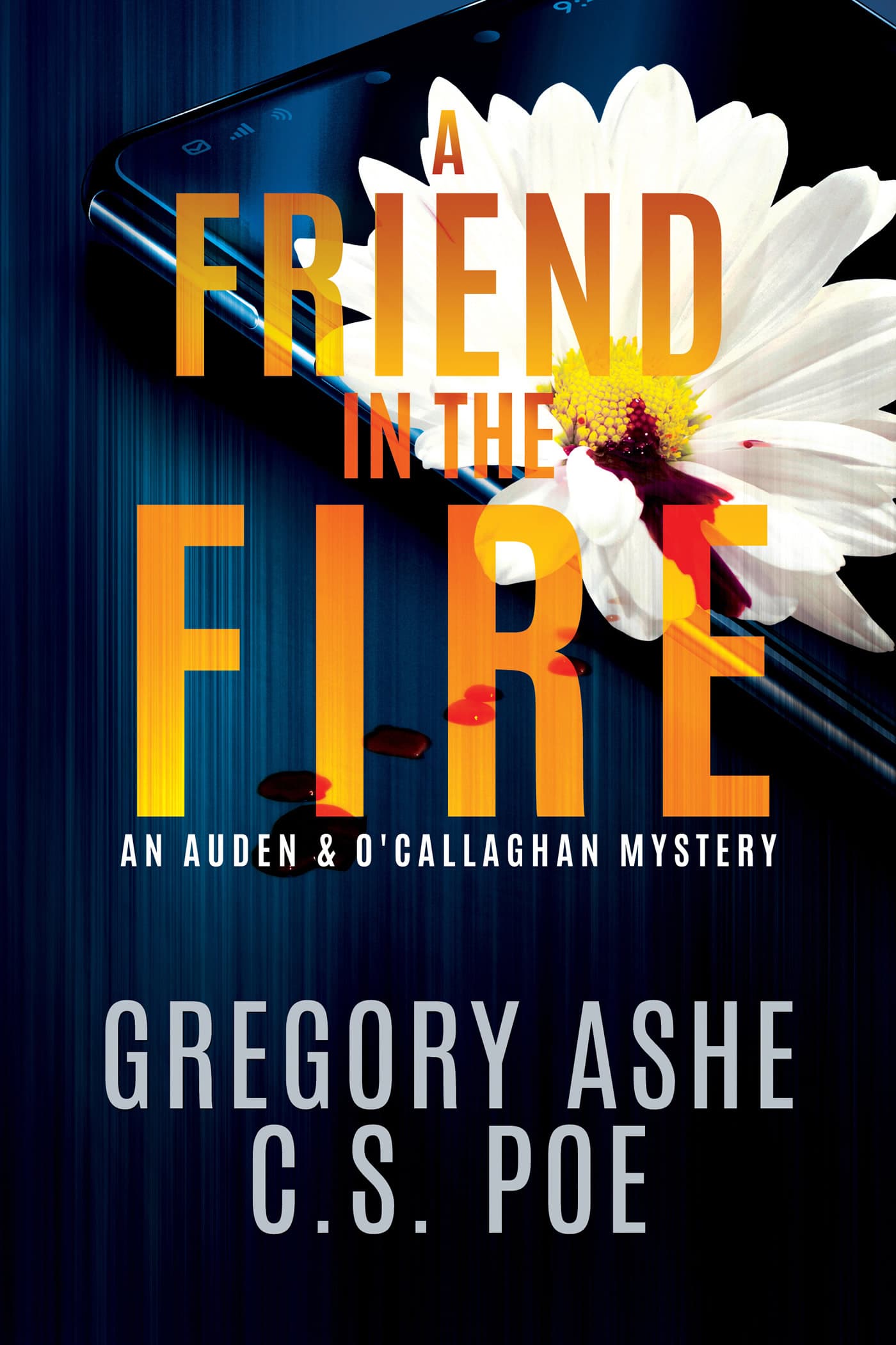 A Friend in the Fire book cover