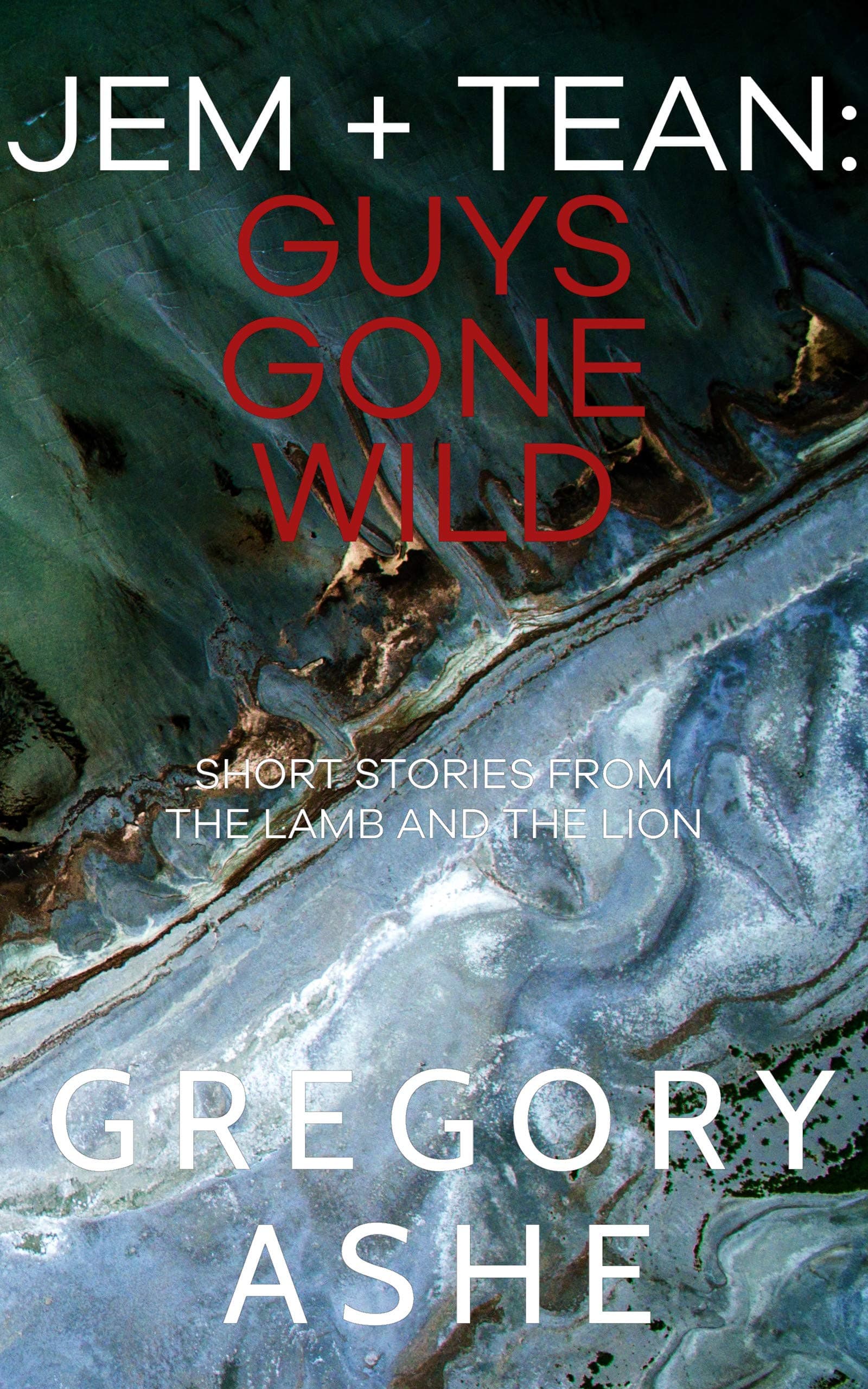 Jem and Tean: Guys Gone Wild book cover