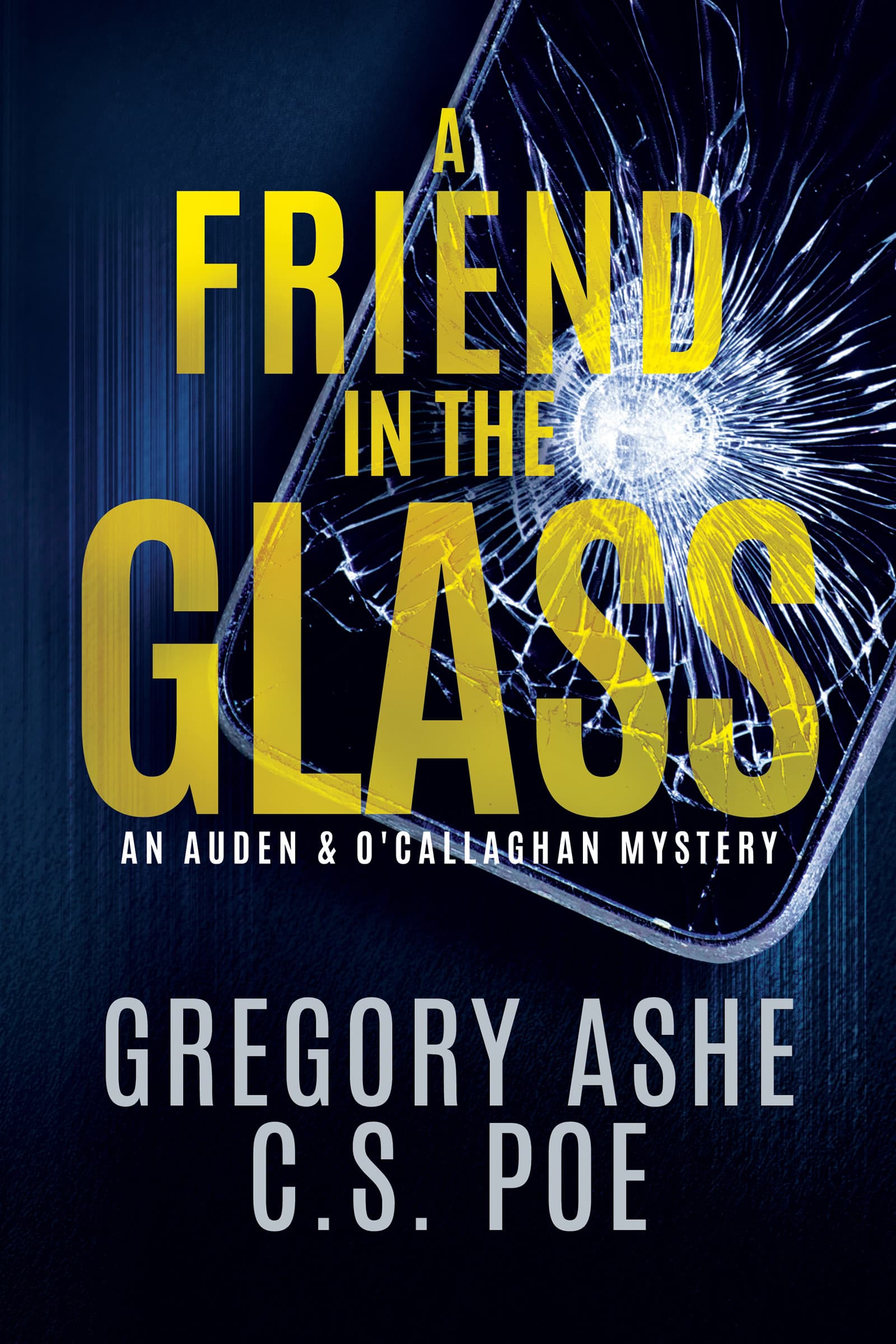 A Friend in the Glass book cover