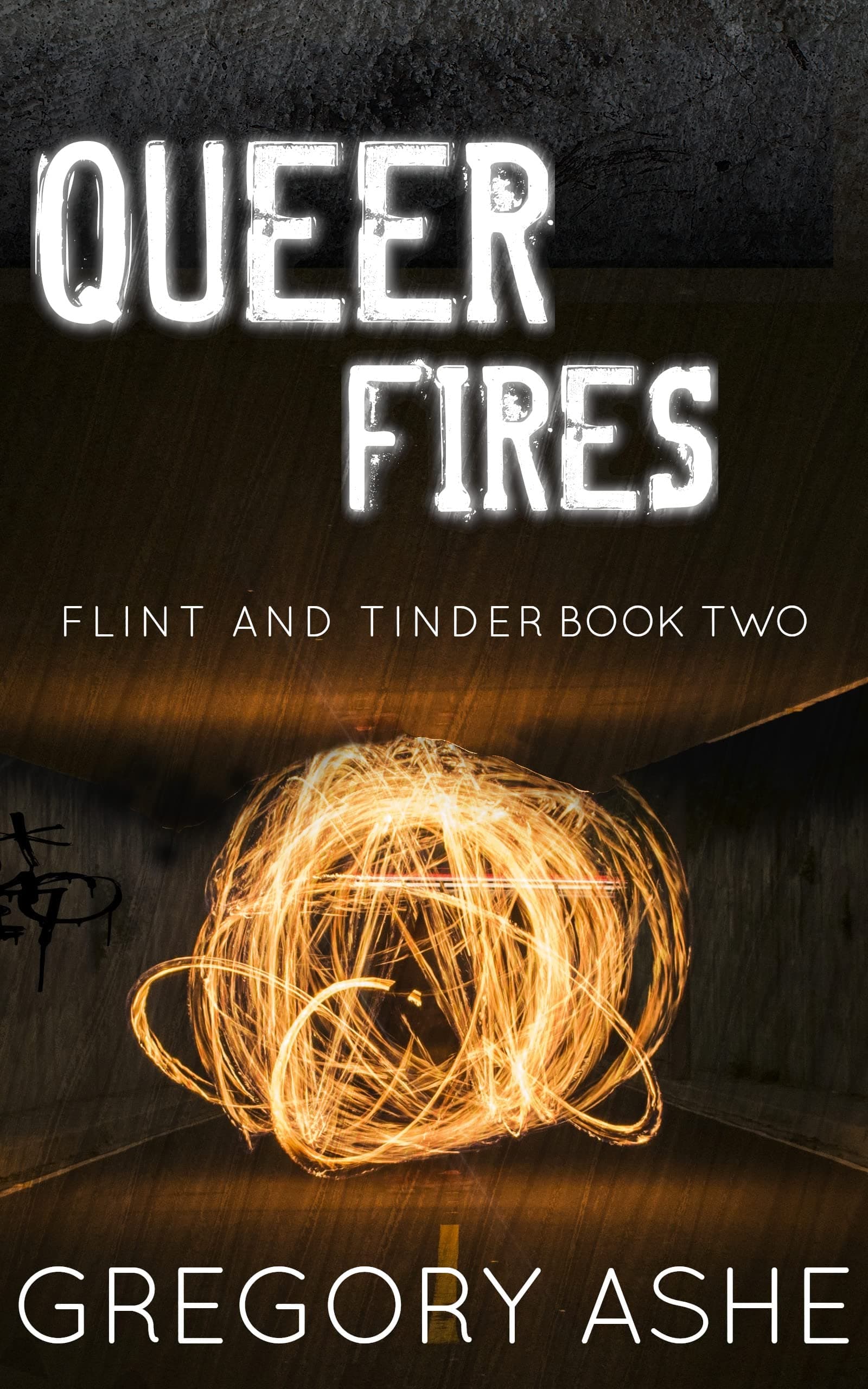 Queer Fires book cover
