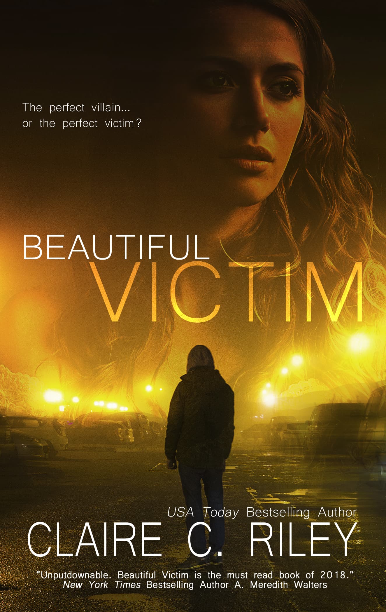 Beautiful Victim book cover