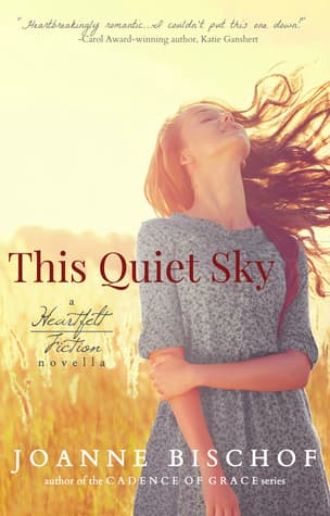 This Quiet Sky book cover