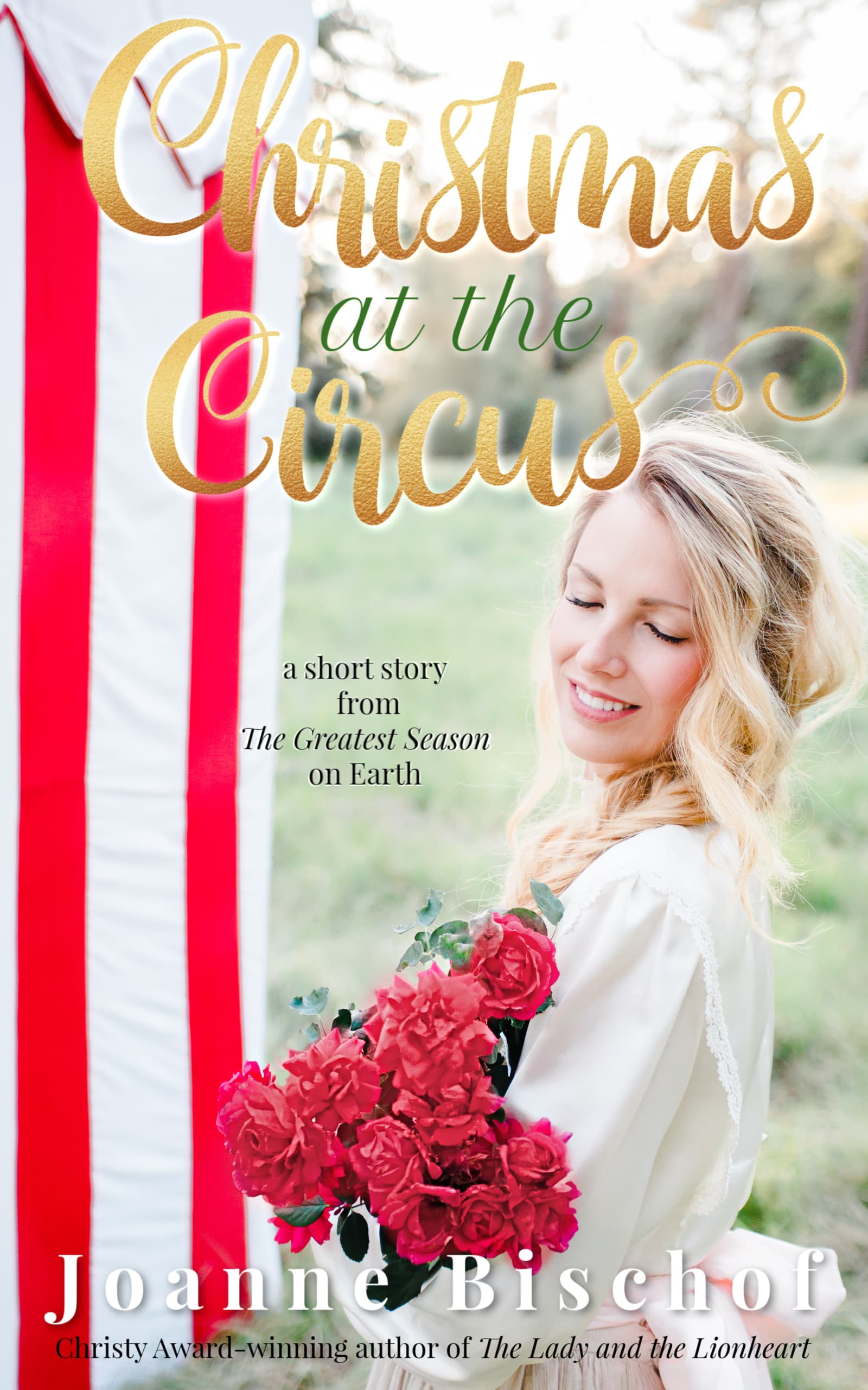 Christmas at the Circus book cover