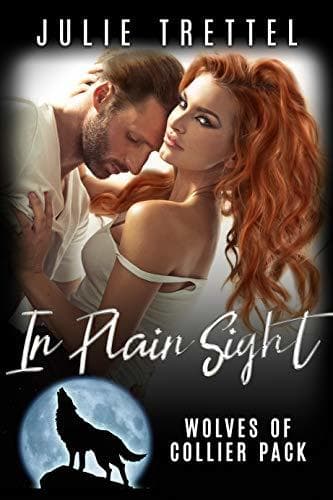 In Plain Sight book cover