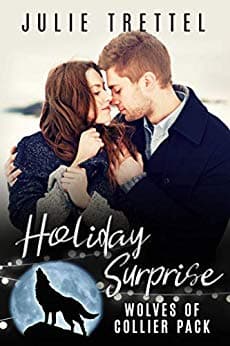 Holiday Surprise book cover