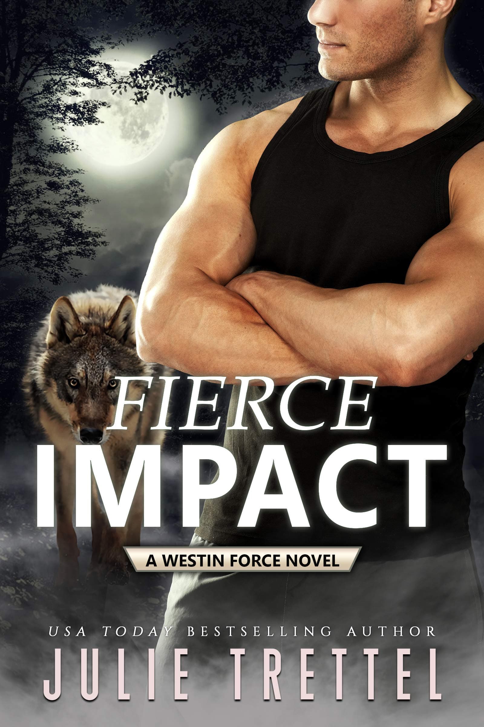 Fierce Impact book cover