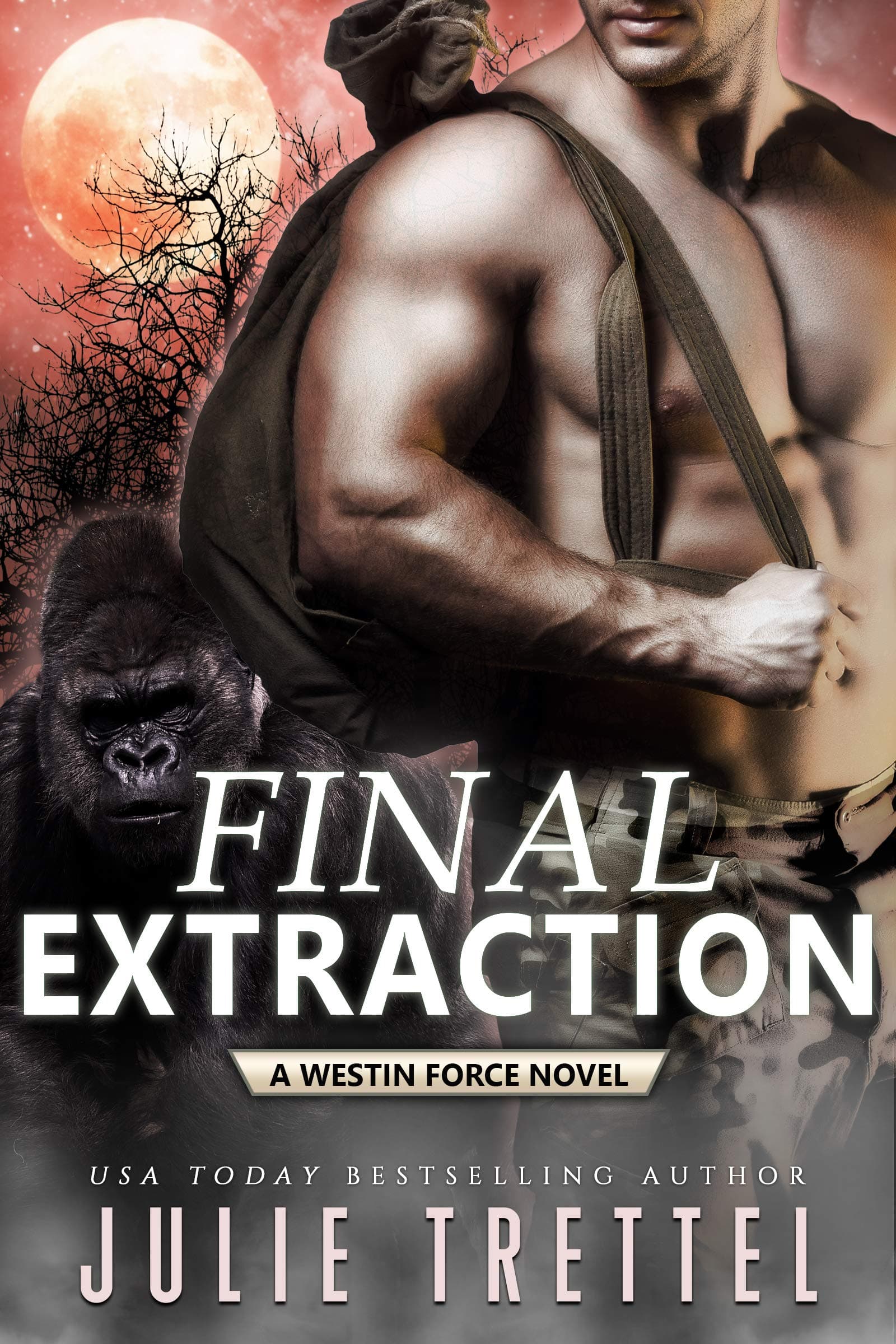 Final Extraction book cover
