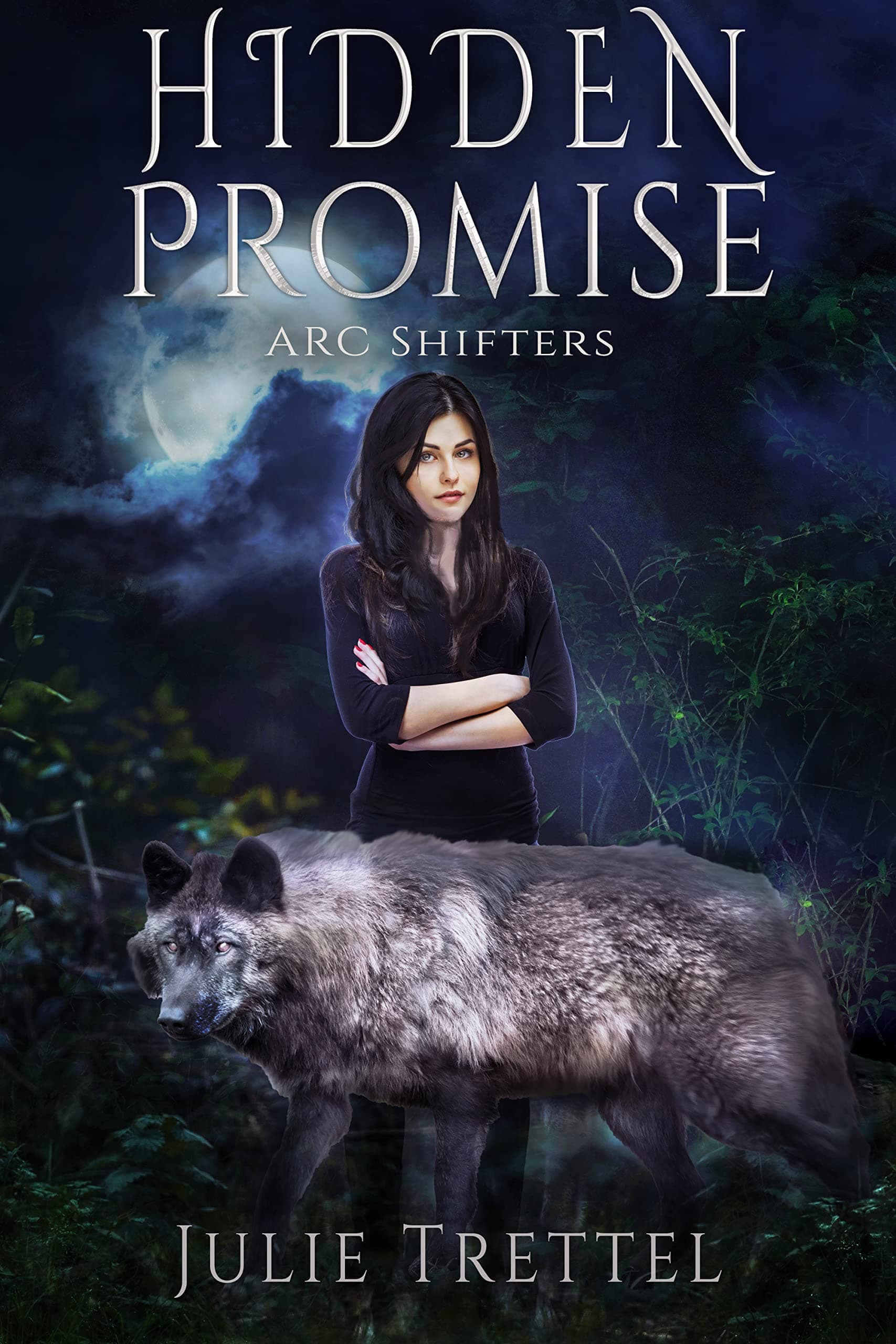 Hidden Promise book cover
