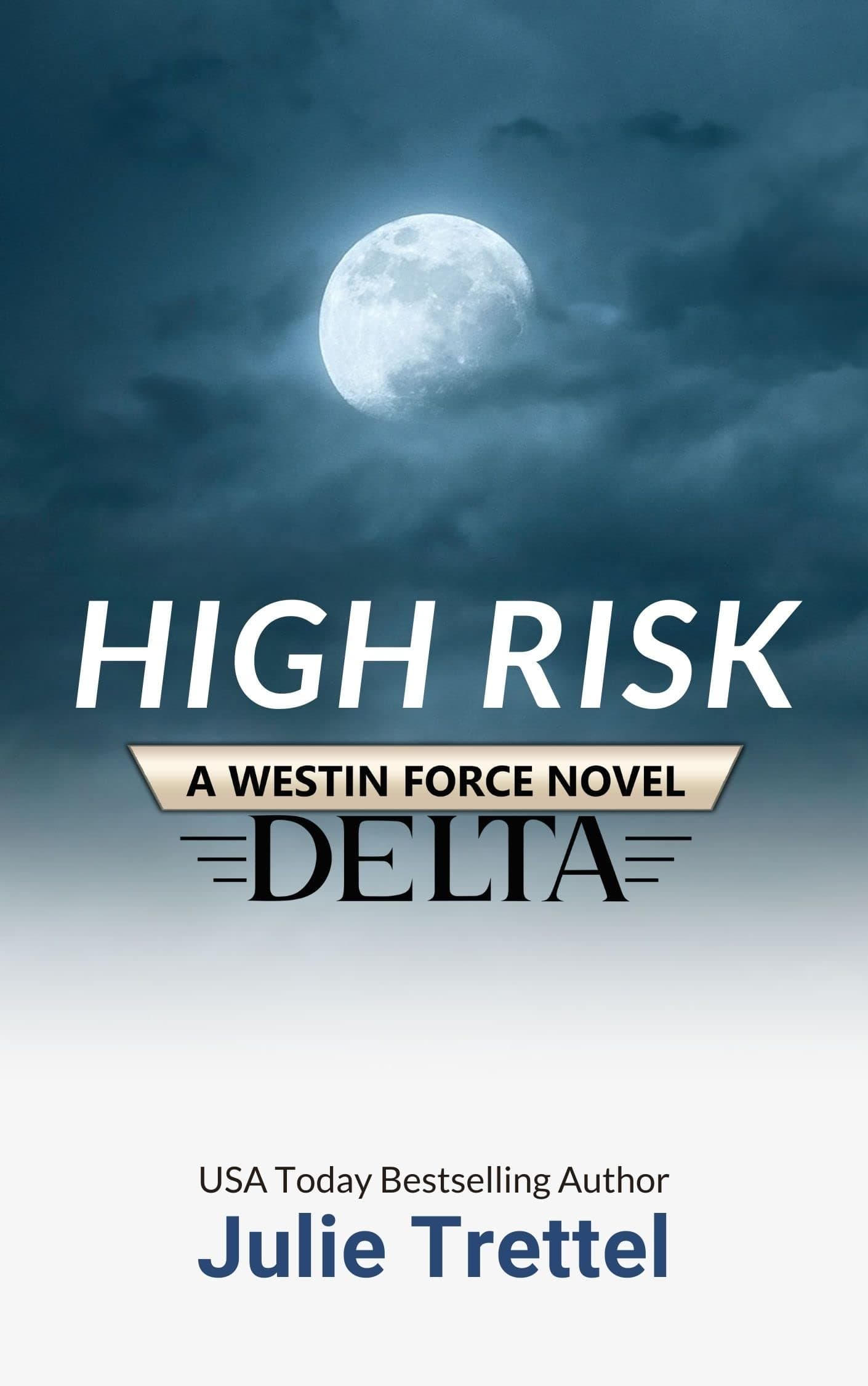 High Risk book cover