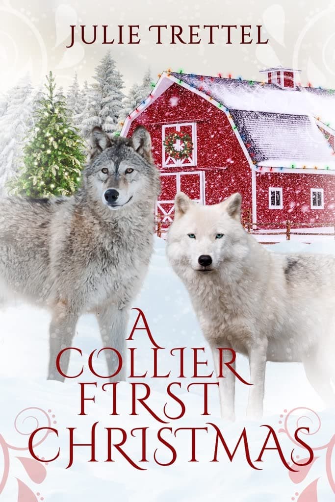 A Collier First Christmas book cover