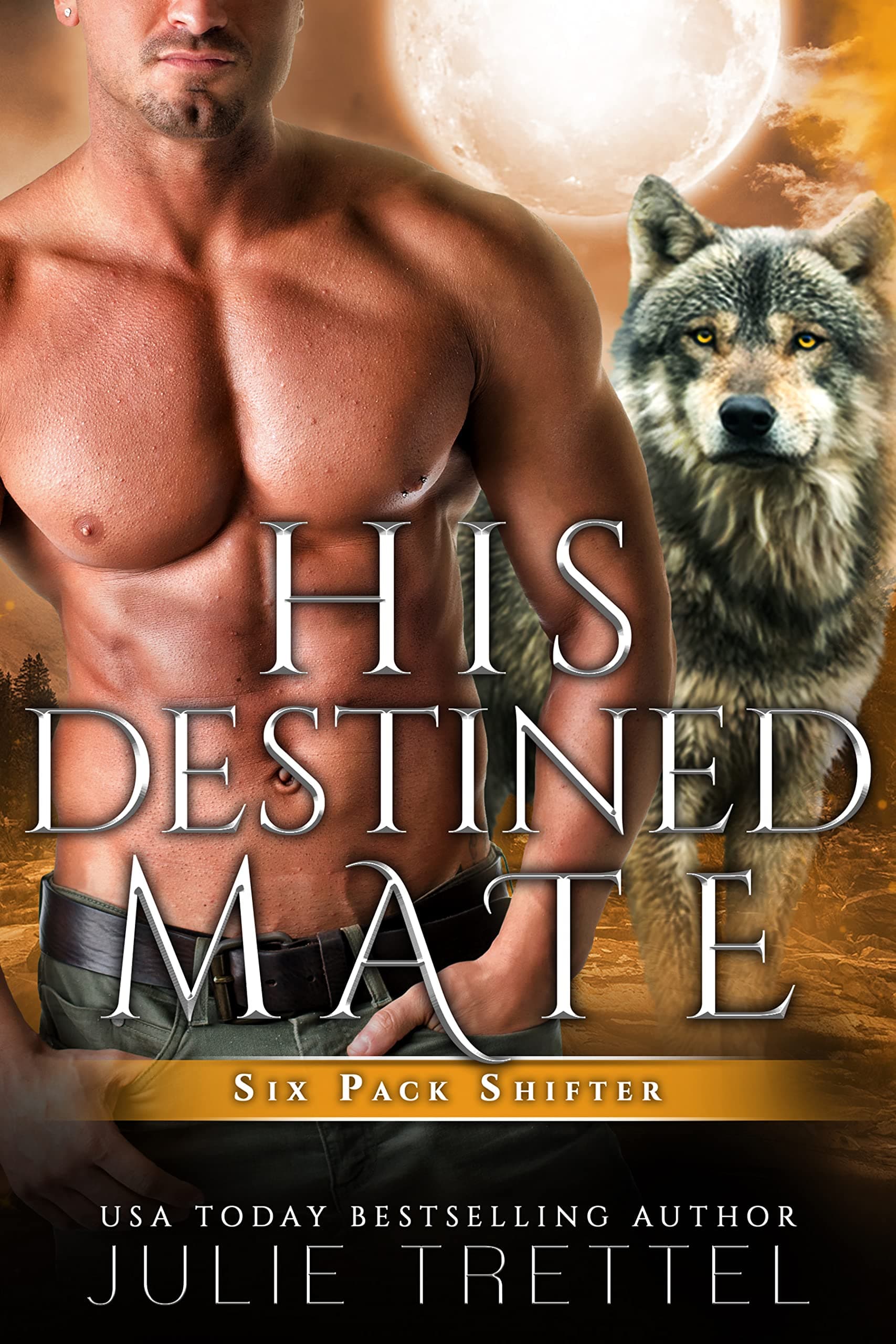 His Destined Mate book cover
