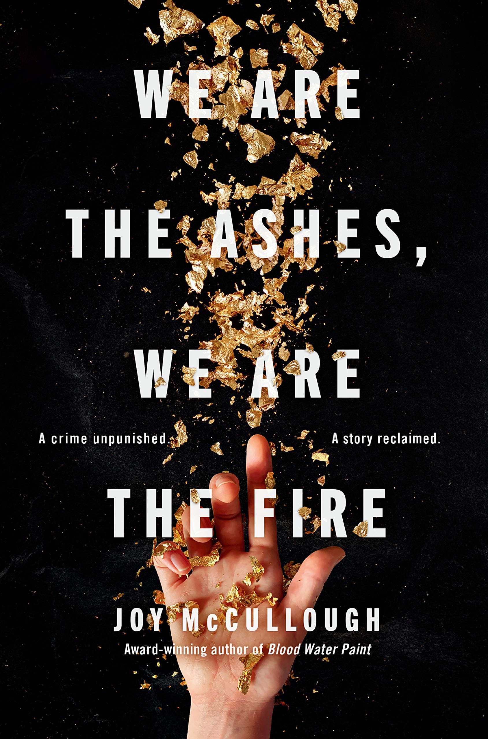 We Are the Ashes, We Are the Fire book cover