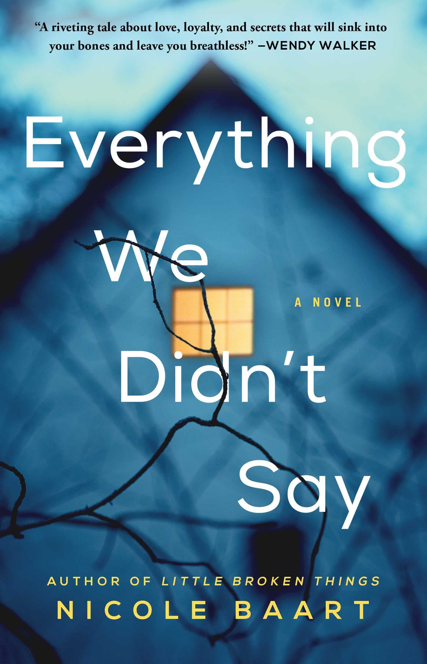Everything We Didn't Say book cover