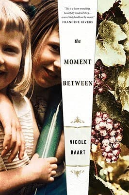 The Moment Between book cover