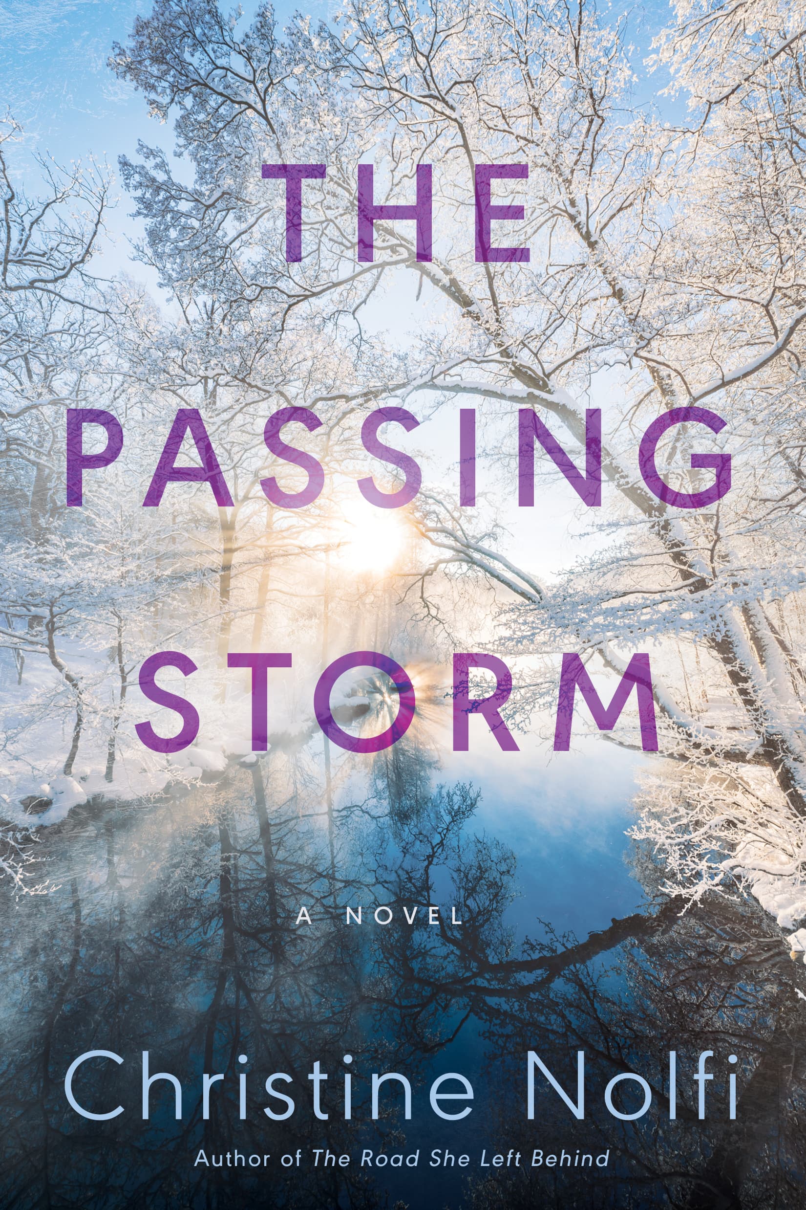 The Passing Storm book cover