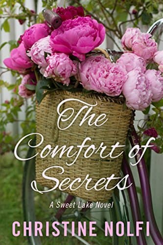 The Comfort of Secrets book cover