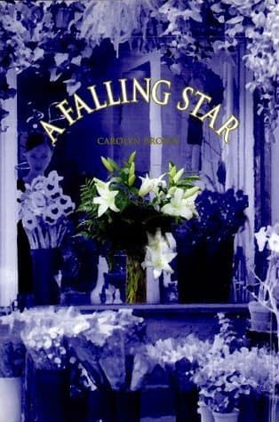 A Falling Star book cover