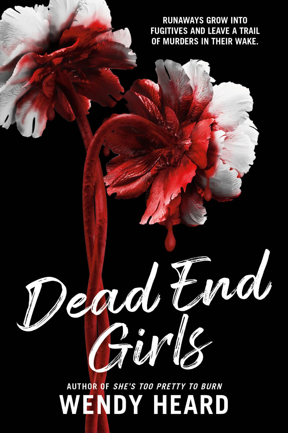 Dead End Girls book cover