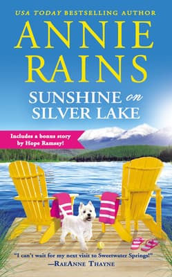 Sunshine on Silver Lake book cover