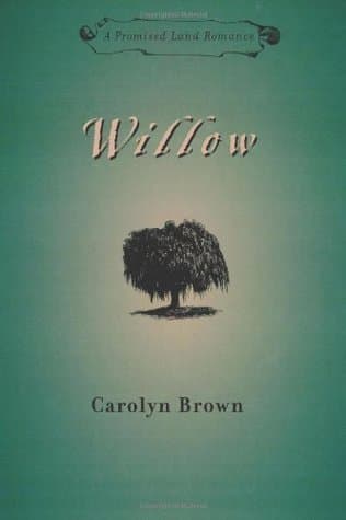 Willow book cover