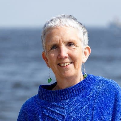 Ann Cleeves